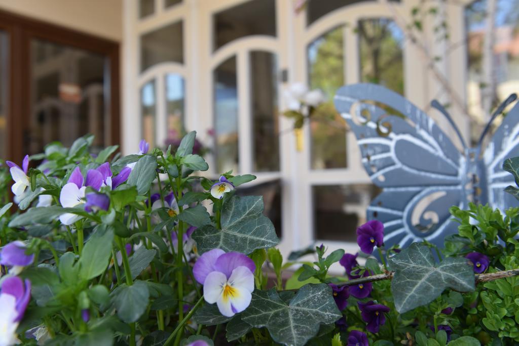 Guest House Romantika Panzio Гюла Екстериор снимка